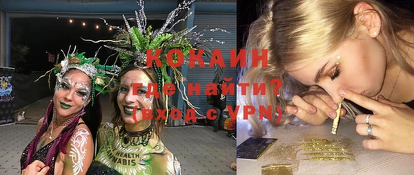 гидра Алексин
