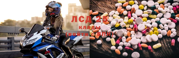 дмт Сатка