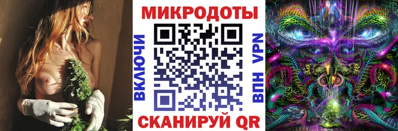 Галлюциногенные грибы Cubensis  Волхов 