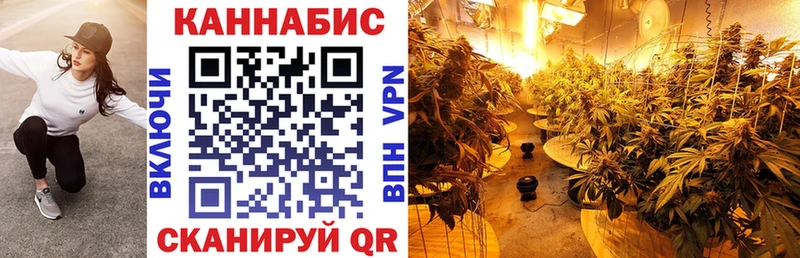 наркота  Волхов  ОМГ ОМГ ONION  Шишки марихуана AK-47 